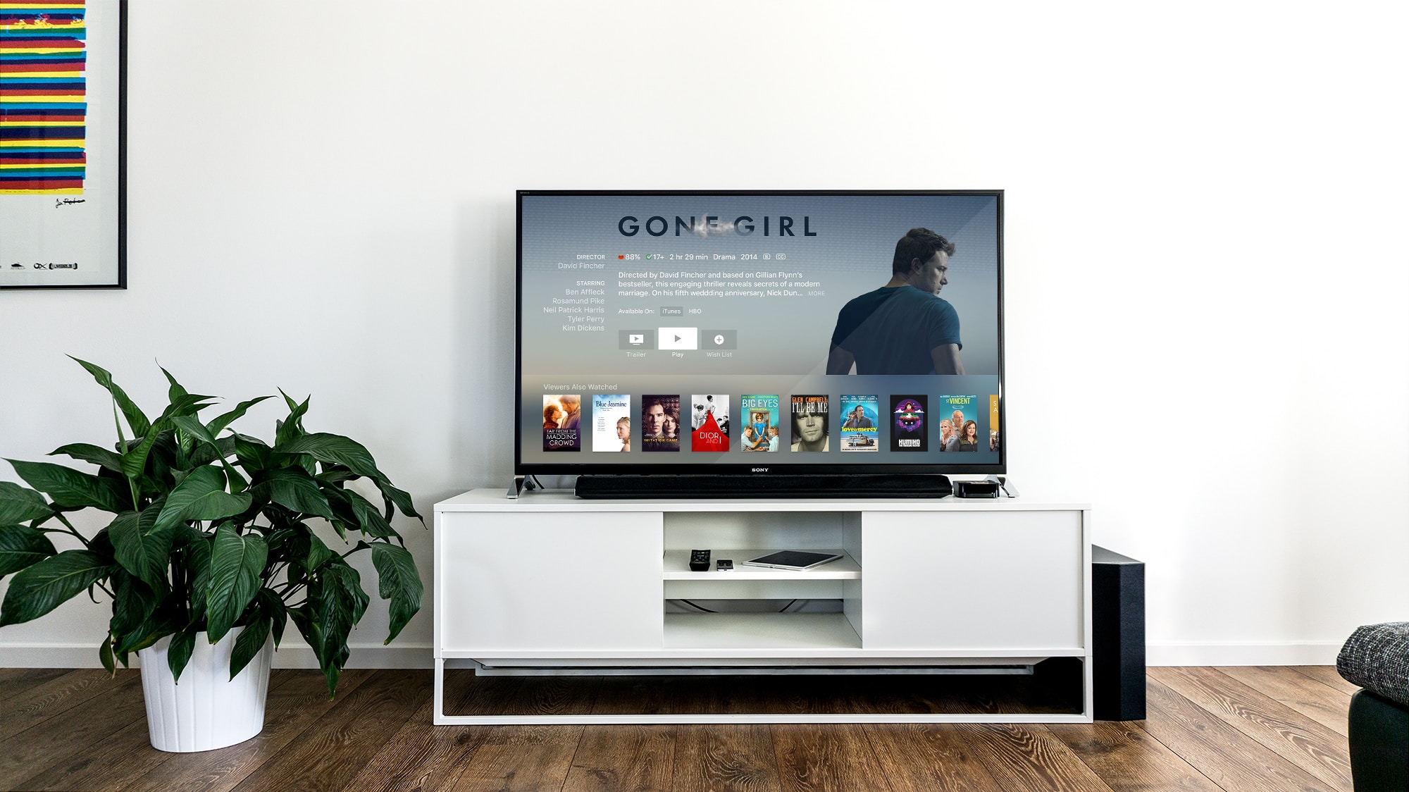 wide picture of television